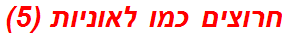 חרוצים כמו לאוניות (5)
