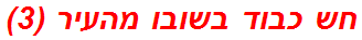 חש כבוד בשובו מהעיר (3)