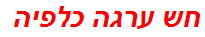 חש ערגה כלפיה