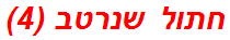 חתול שנרטב (4)