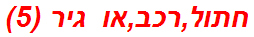 חתול,רכב,או גיר (5)