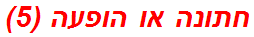 חתונה או הופעה (5)