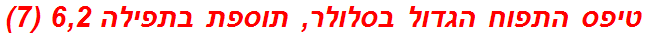 טיפס התפוח הגדול בסלולר, תוספת בתפילה 6,2 (7)