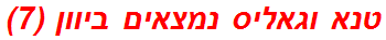 טנא וגאליס נמצאים ביוון (7)