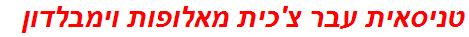 טניסאית עבר צ'כית מאלופות וימבלדון