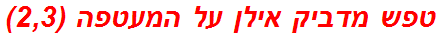 טפש מדביק אילן על המעטפה (2,3)