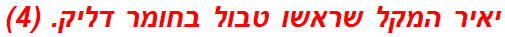 יאיר המקל שראשו טבול בחומר דליק. (4)