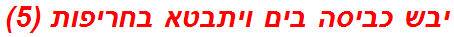 יבש כביסה בים ויתבטא בחריפות (5)