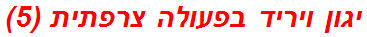 יגון ויריד בפעולה צרפתית (5)