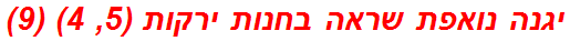 יגנה נואפת שראה בחנות ירקות (5, 4) (9)