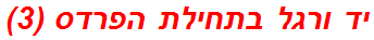 יד ורגל בתחילת הפרדס (3)