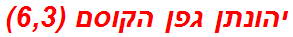 יהונתן גפן הקוסם (6,3)