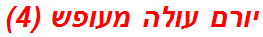 יורם עולה מעופש (4)