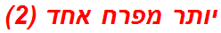 יותר מפרח אחד (2)