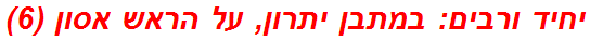 יחיד ורבים: במתבן יתרון, על הראש אסון (6)