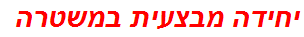 יחידה מבצעית במשטרה