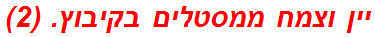 יין וצמח ממסטלים בקיבוץ. (2)