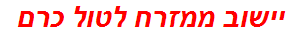 יישוב ממזרח לטול כרם