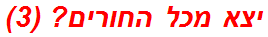 יצא מכל החורים? (3)