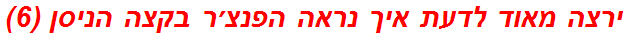 ירצה מאוד לדעת איך נראה הפנצ׳ר בקצה הניסן (6)