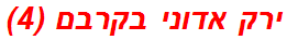 ירק אדוני בקרבם (4)