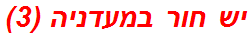 יש חור במעדניה (3)