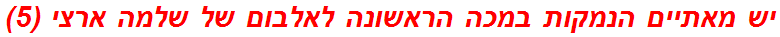 יש מאתיים הנמקות במכה הראשונה לאלבום של שלמה ארצי (5)