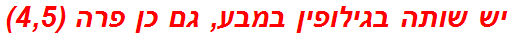 יש שותה בגילופין במבע, גם כן פרה (4,5)