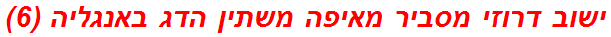 ישוב דרוזי מסביר מאיפה משתין הדג באנגליה (6)