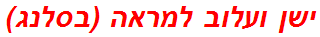 ישן ועלוב למראה (בסלנג)