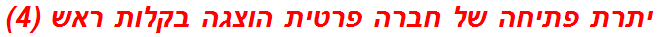 יתרת פתיחה של חברה פרטית הוצגה בקלות ראש (4)