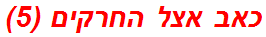 כאב אצל החרקים (5)