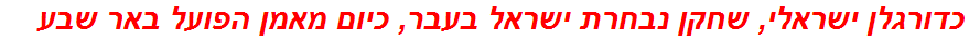 כדורגלן ישראלי, שחקן נבחרת ישראל בעבר, כיום מאמן הפועל באר שבע