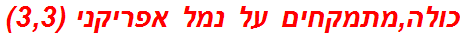 כולה,מתמקחים על נמל אפריקני (3,3)