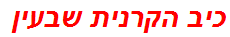 כיב הקרנית שבעין