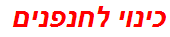 כינוי לחנפנים