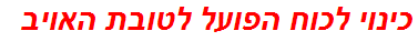 כינוי לכוח הפועל לטובת האויב