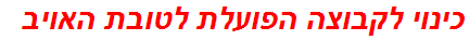 כינוי לקבוצה הפועלת לטובת האויב