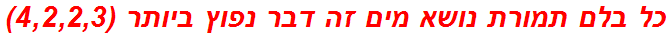 כל בלם תמורת נושא מים זה דבר נפוץ ביותר (4,2,2,3)