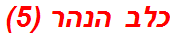 כלב הנהר (5)