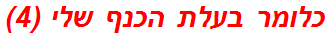 כלומר בעלת הכנף שלי (4)