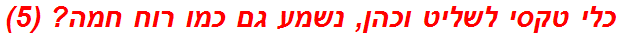 כלי טקסי לשליט וכהן, נשמע גם כמו רוח חמה? (5)