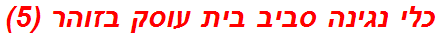 כלי נגינה סביב בית עוסק בזוהר (5)