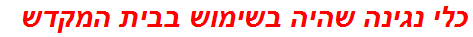 כלי נגינה שהיה בשימוש בבית המקדש