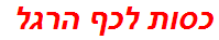 כסות לכף הרגל