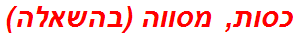 כסות, מסווה (בהשאלה)