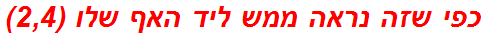 כפי שזה נראה ממש ליד האף שלו (2,4)