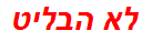 לא הבליט