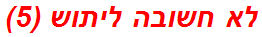 לא חשובה ליתוש (5)