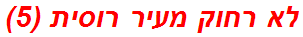 לא רחוק מעיר רוסית (5)